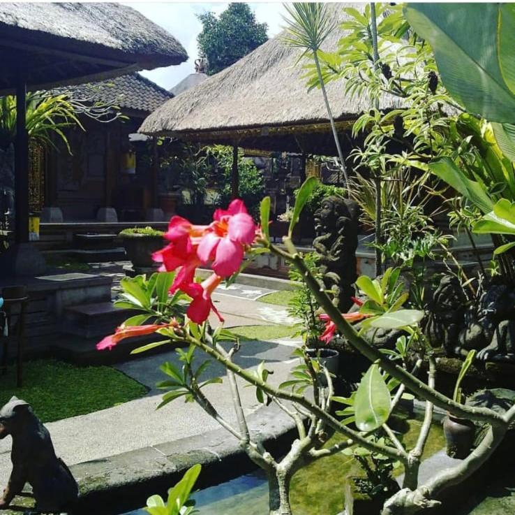 Family Guest House Убуд Экстерьер фото